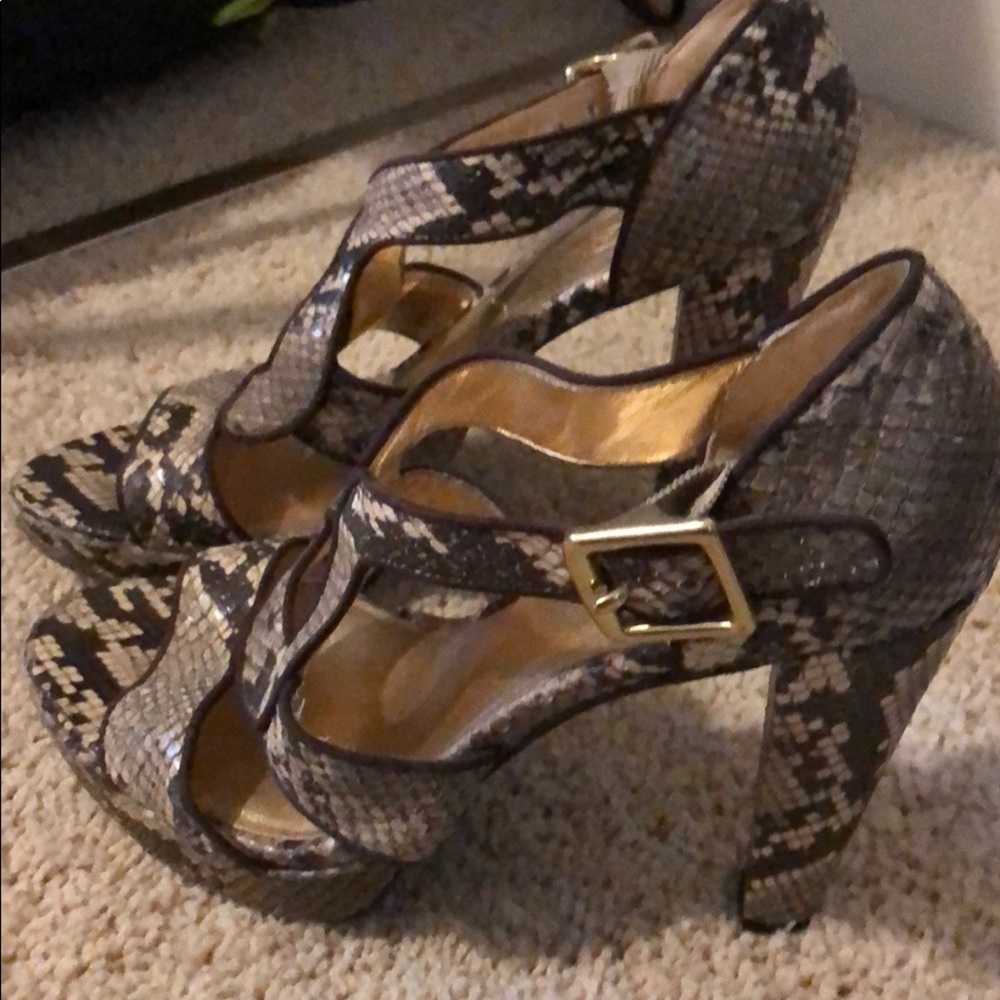 Coach python heels
